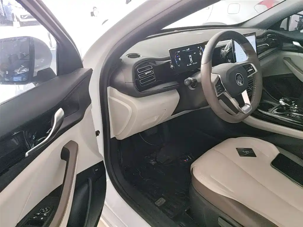 BYD Qin PLUS 2023 Champion Edition DM-i 55KM Leading фото 15