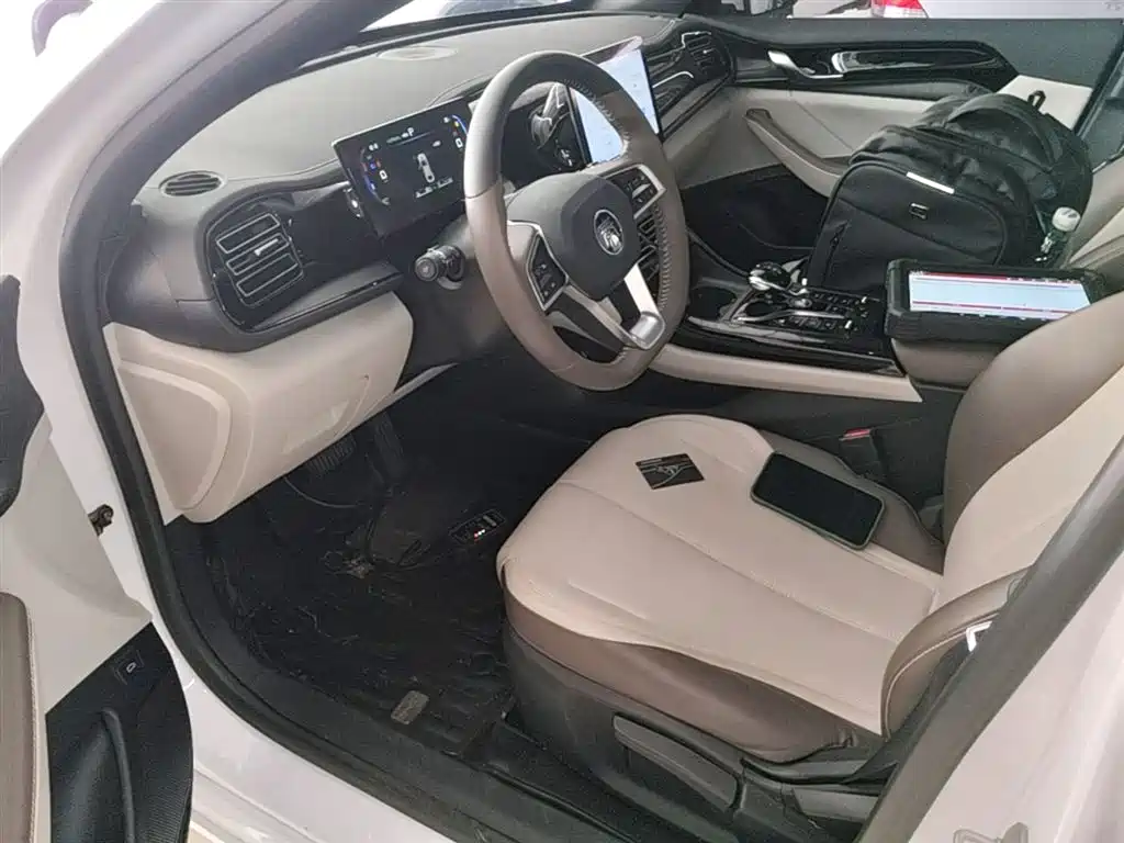 BYD Qin PLUS 2023 Champion Edition DM-i 55KM Leading фото 16