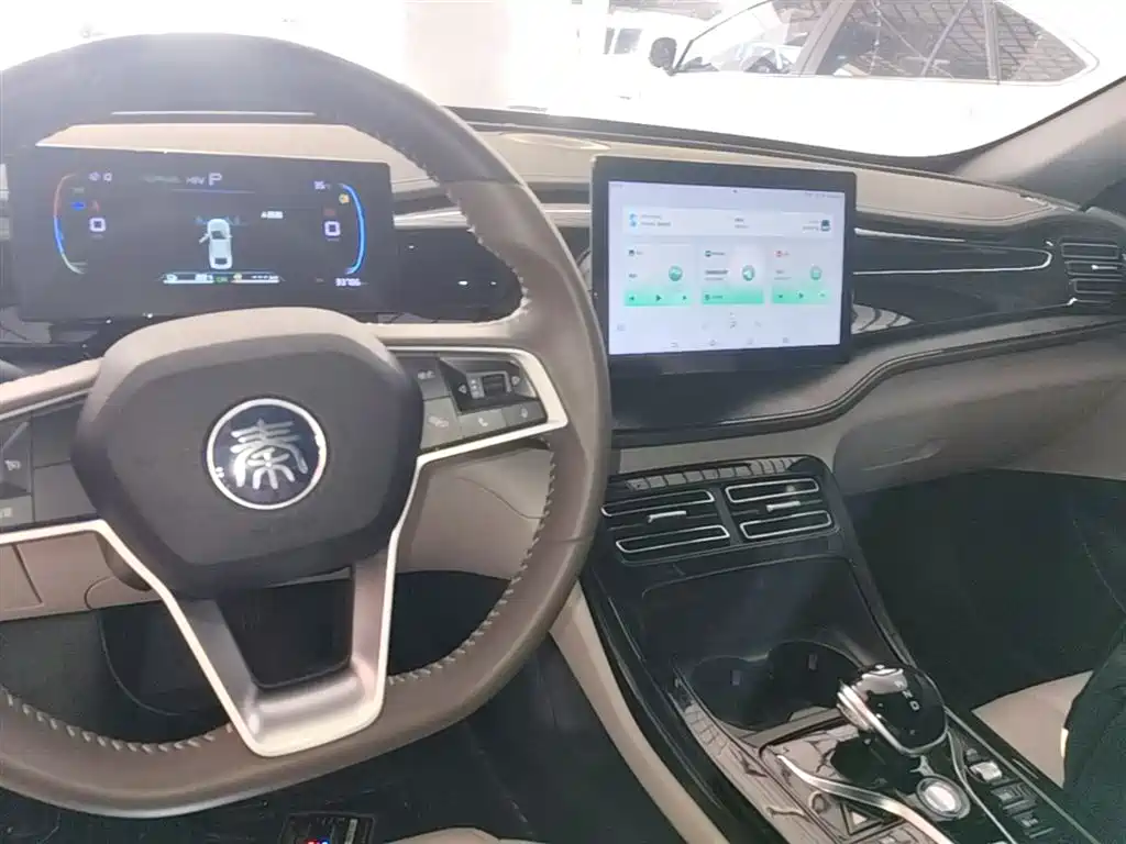 BYD Qin PLUS 2023 Champion Edition DM-i 55KM Leading фото 10