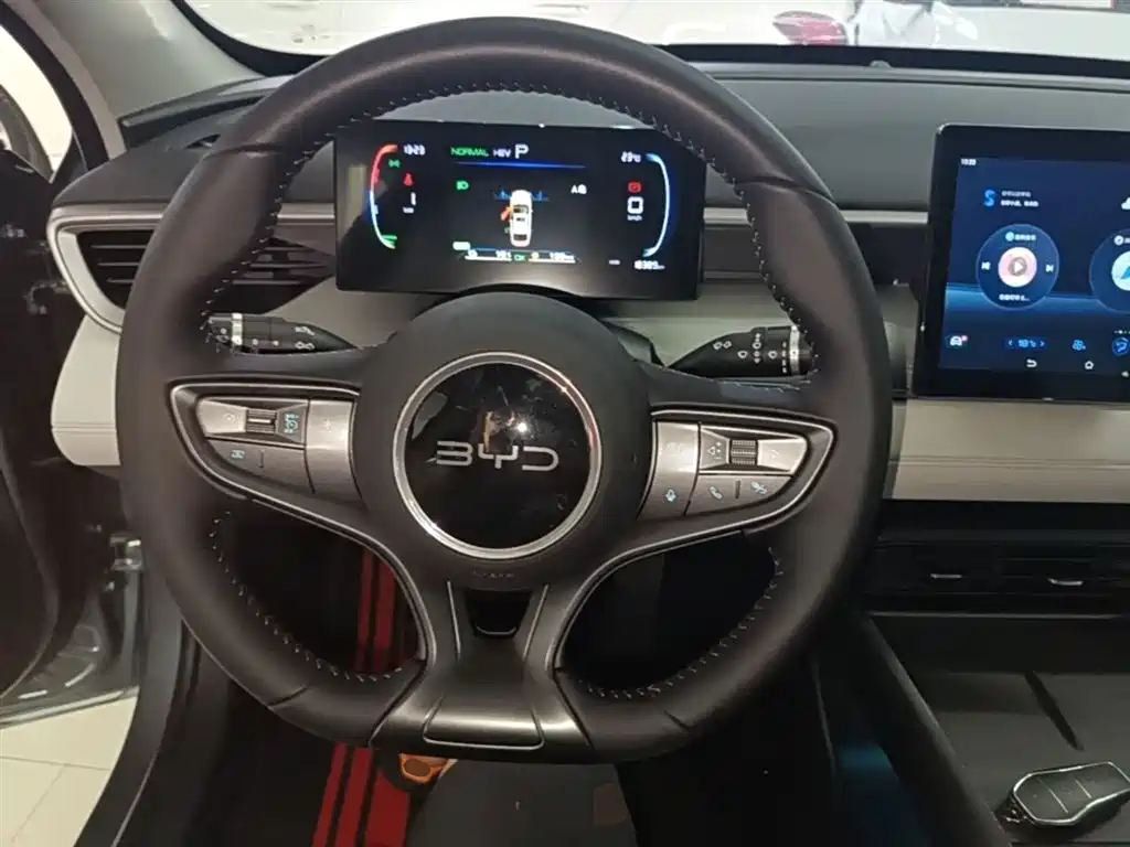 BYD Hai Bao 05 DM-i 2025 DM-i Smart Drive Edition 55KM Luxury фото 11