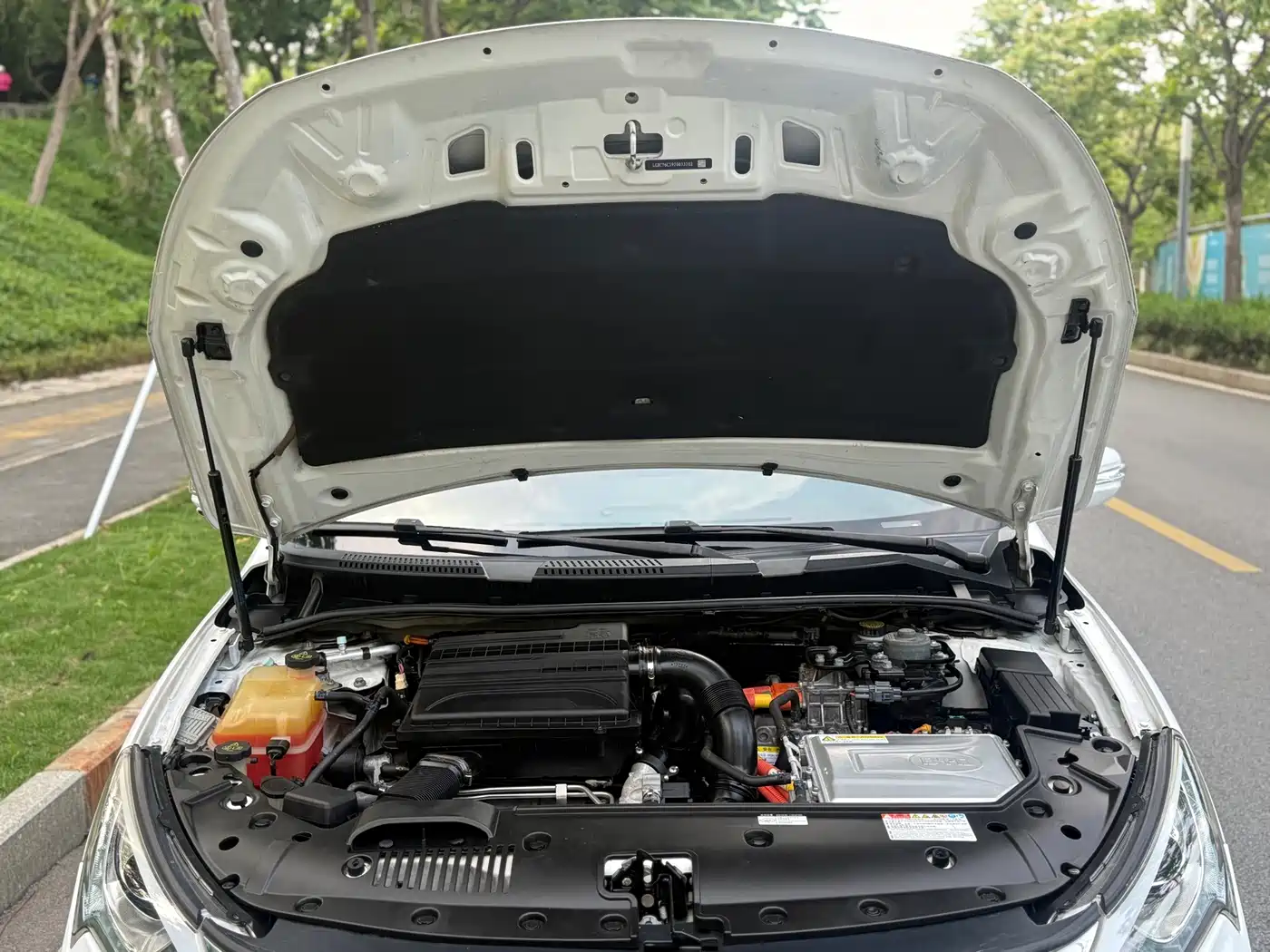 BYD Qin New Energy 2018 2017 1.5T Premium Model