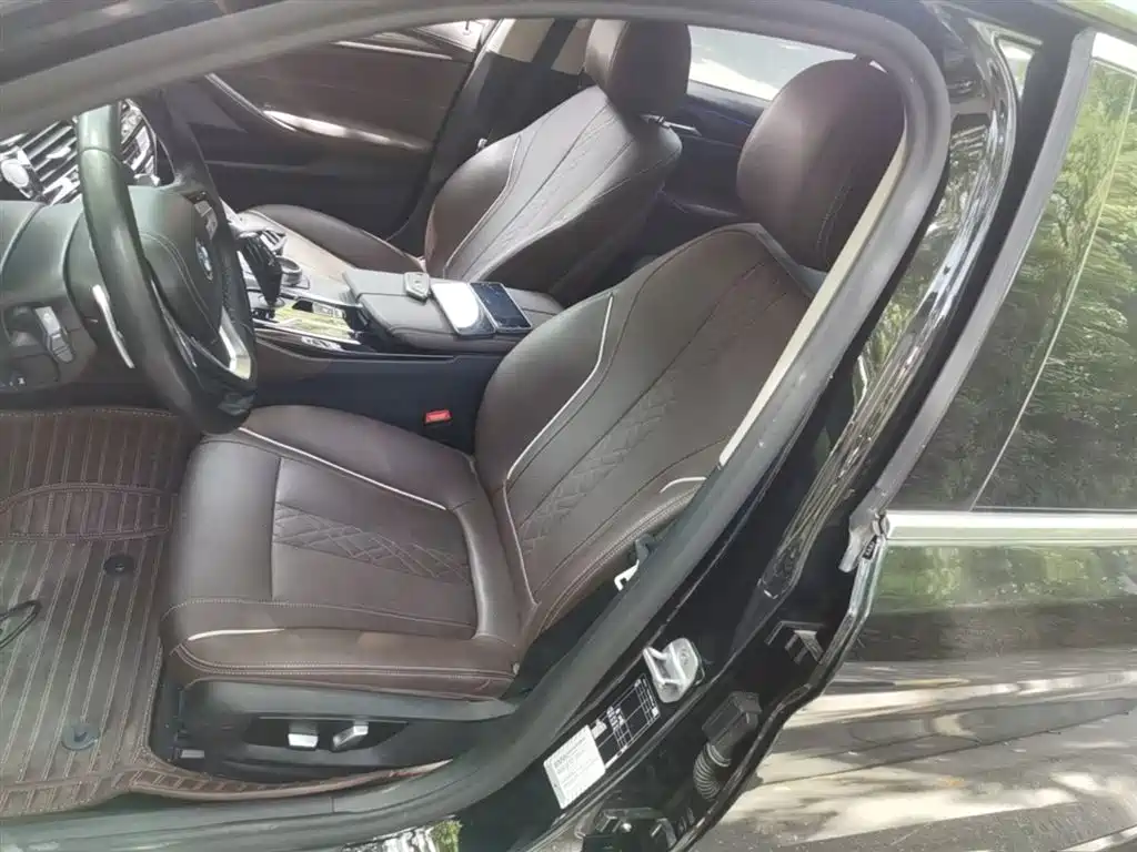 BMW 5 Series 2021 530Li Leading Luxury Package фото 15