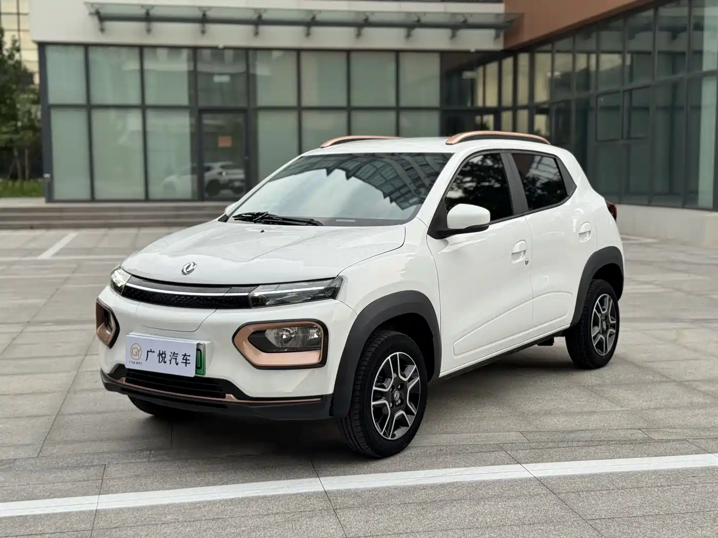 Dongfeng Yipai Dongfeng Nano EX1 2023 PRO Light Breeze Standard