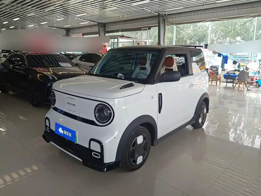 Geely Galaxy Panda 2025 Model Year 210km Panda Kart