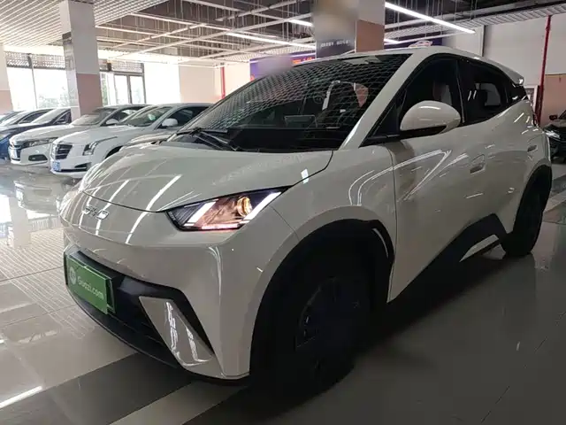 BYD Seagull 2024