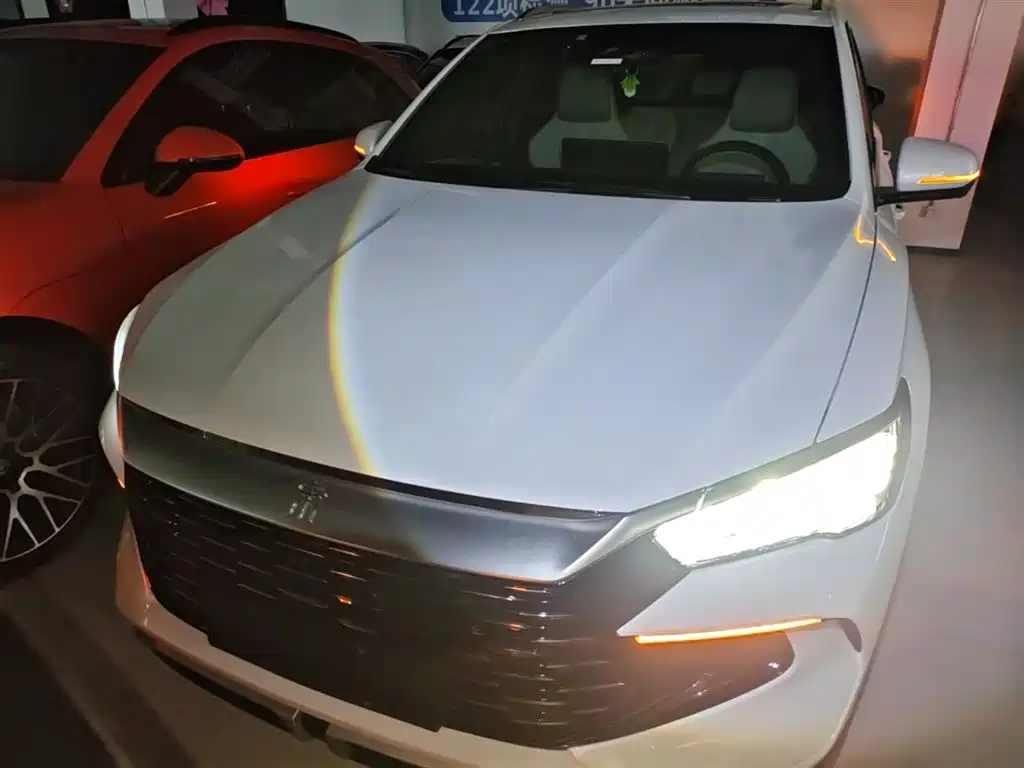 BYD Song Pro New Energy 2023 Champion Edition DM-i 110KM Excellence фото 3