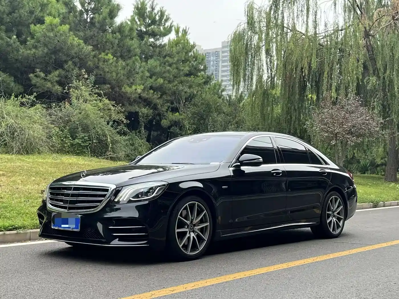 Mercedes-Benz S-Class 2020 S 450 L 4MATIC Collector's Version
