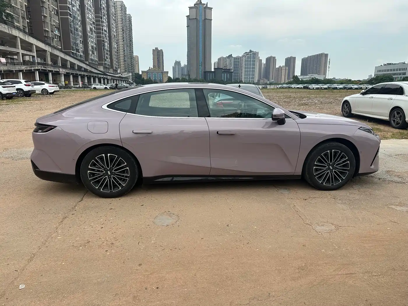 Geely Galaxy Galaxy Xingyao 8 2025 60km EM-i Luxury Edition фото 12