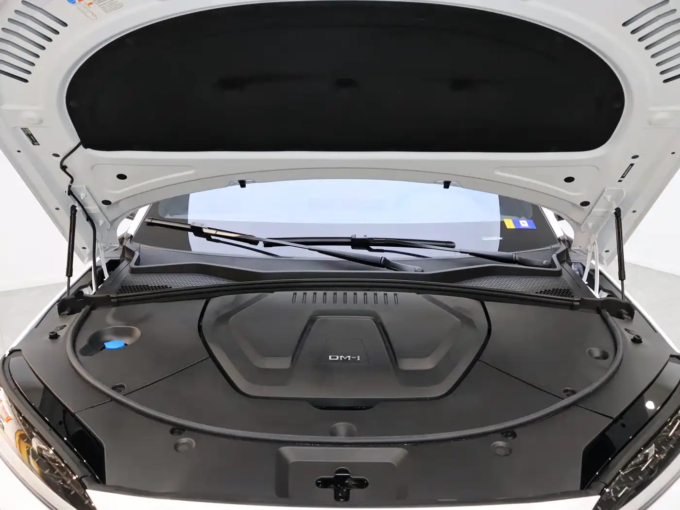 BYD SONGJIANG NEW ENERGY