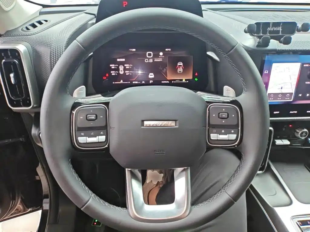 Haval Big Dog 2025 2024 1.5T DCT Border Collie Edition
