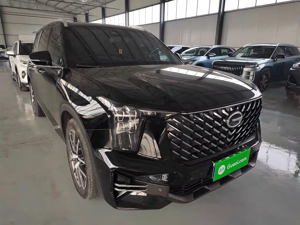 GAC Trumpchi Trumpchi GS8 2022 Pilot Series 2.0TGDI 2WD Premium Edition (7-Seater) фото 22