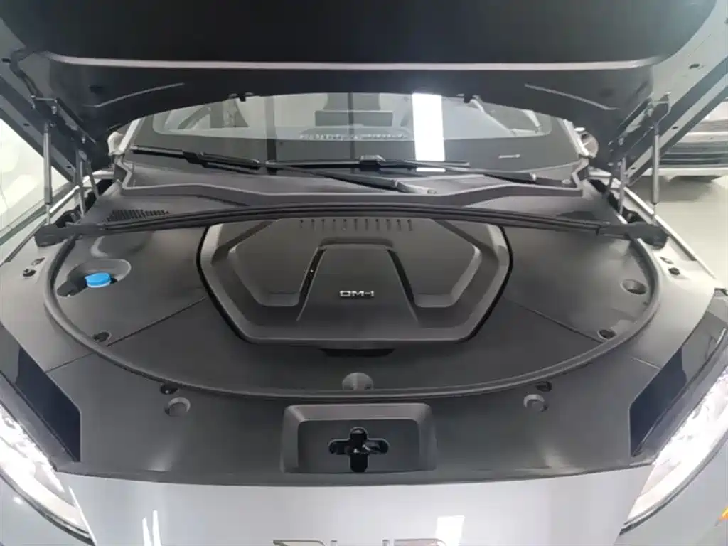 BYD Song PLUS PHEV 2023 Champion Edition DM-i 110KM Flagship PLUS фото 20