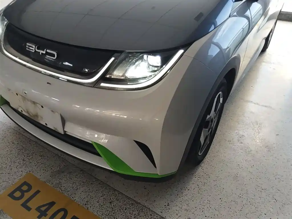 BYD Dolphin 2021 Model 405km Fashion Edition фото 24