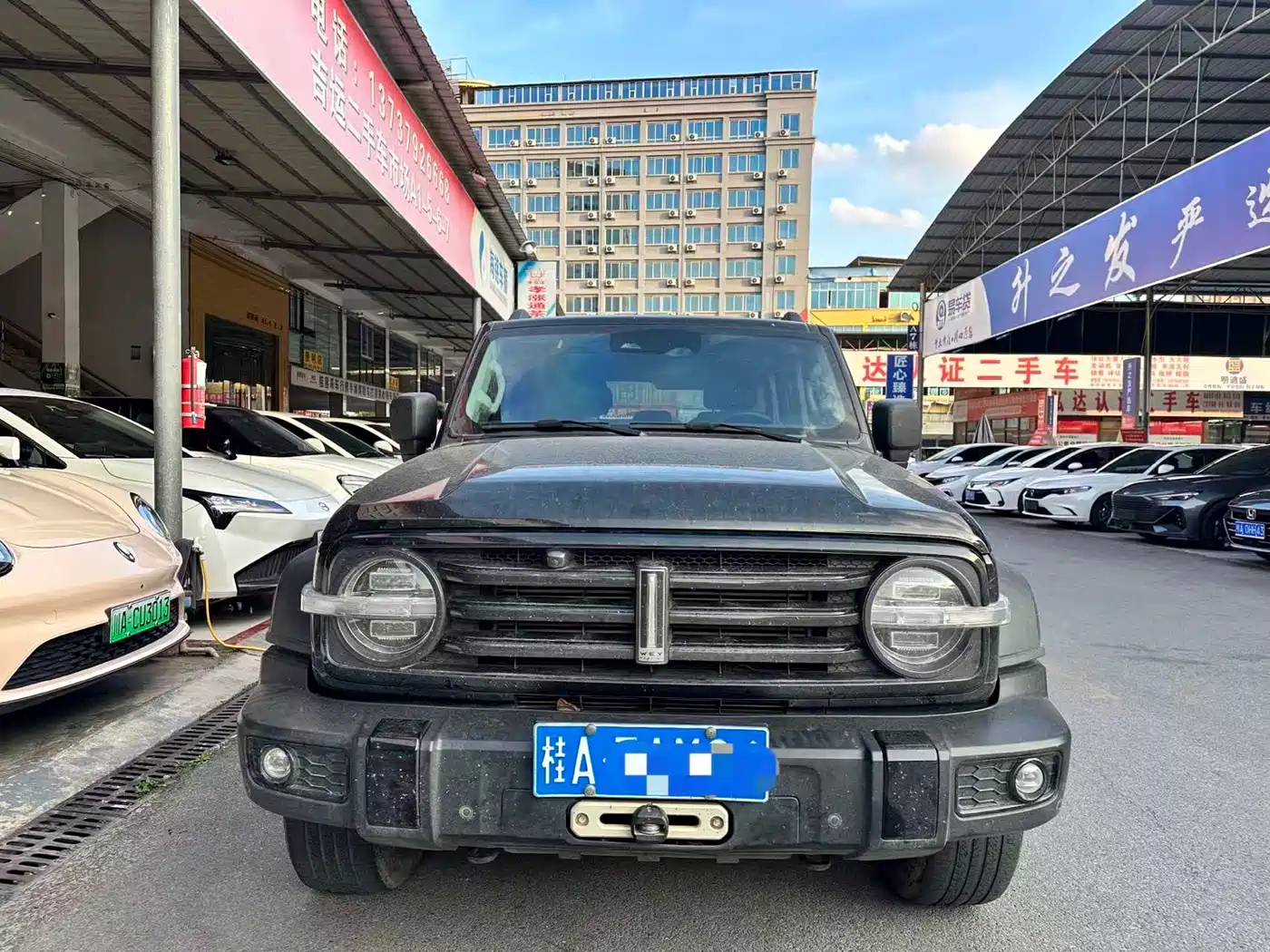 Tank 300 2021 Off-road Version 2.0T Conqueror