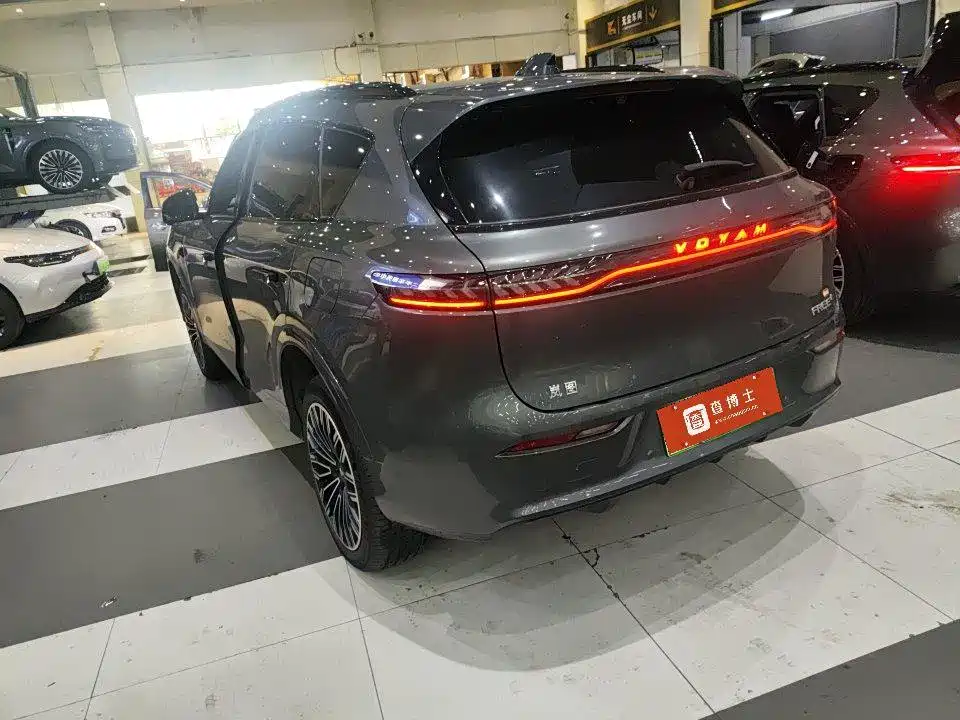 2025 Voyah Auto VOYAH FREE