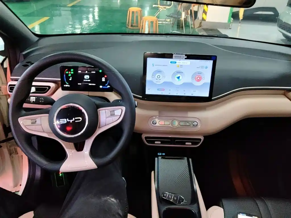 BYD Seagull 2026 2025 Smart Drive Edition 305km Vitality Version