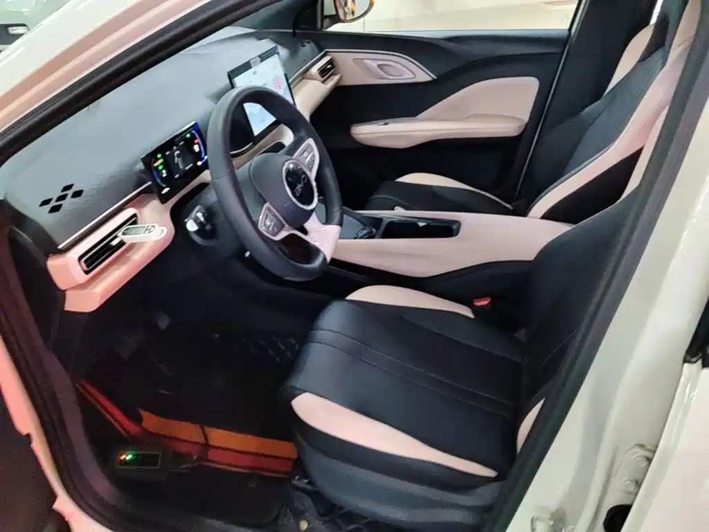 BYD Seagull 2026 2025 Smart Drive Edition 305km Vitality Version