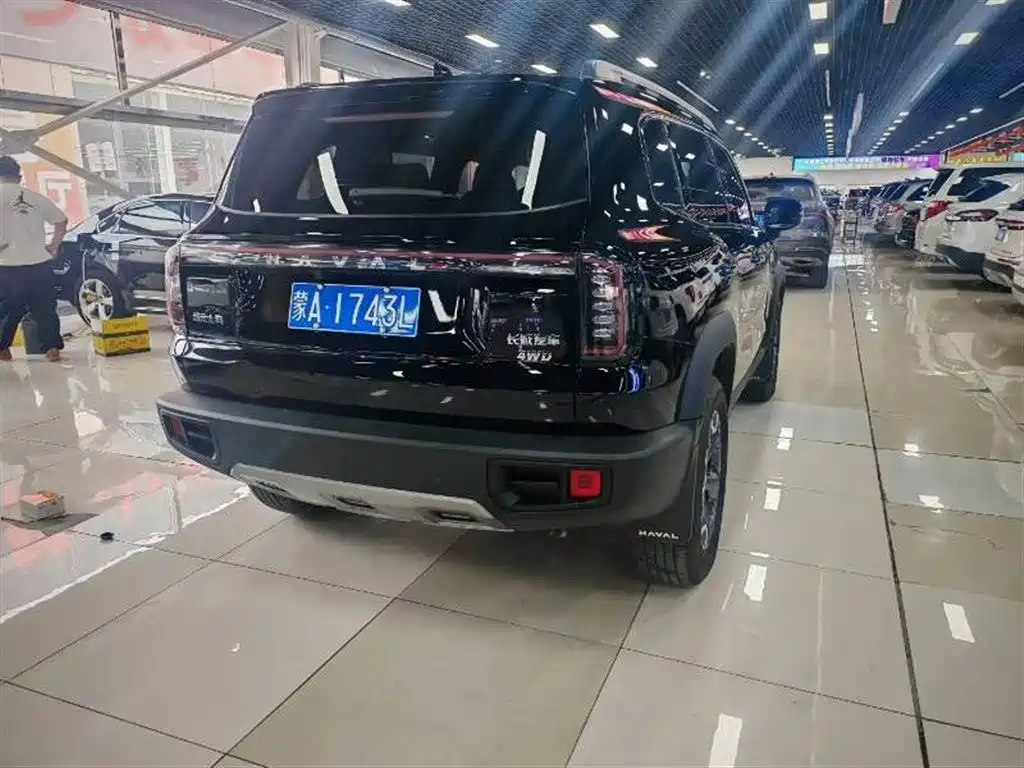 Haval Big Dog 2024 2.0T DCT Chinese Rural Dog Edition фото 6