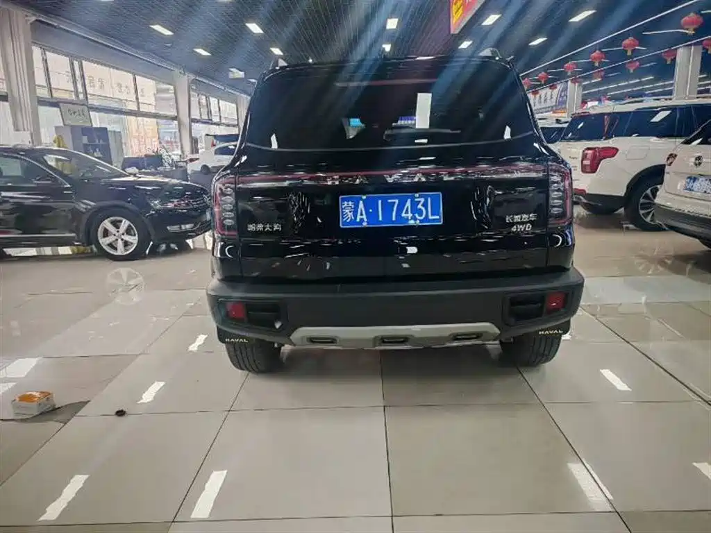 Haval Big Dog 2024 2.0T DCT Chinese Rural Dog Edition фото 9