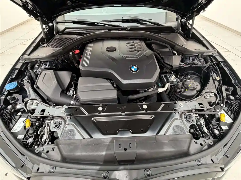 BMW 3 Series 2023 325Li M Sport Black Night Package фото 18