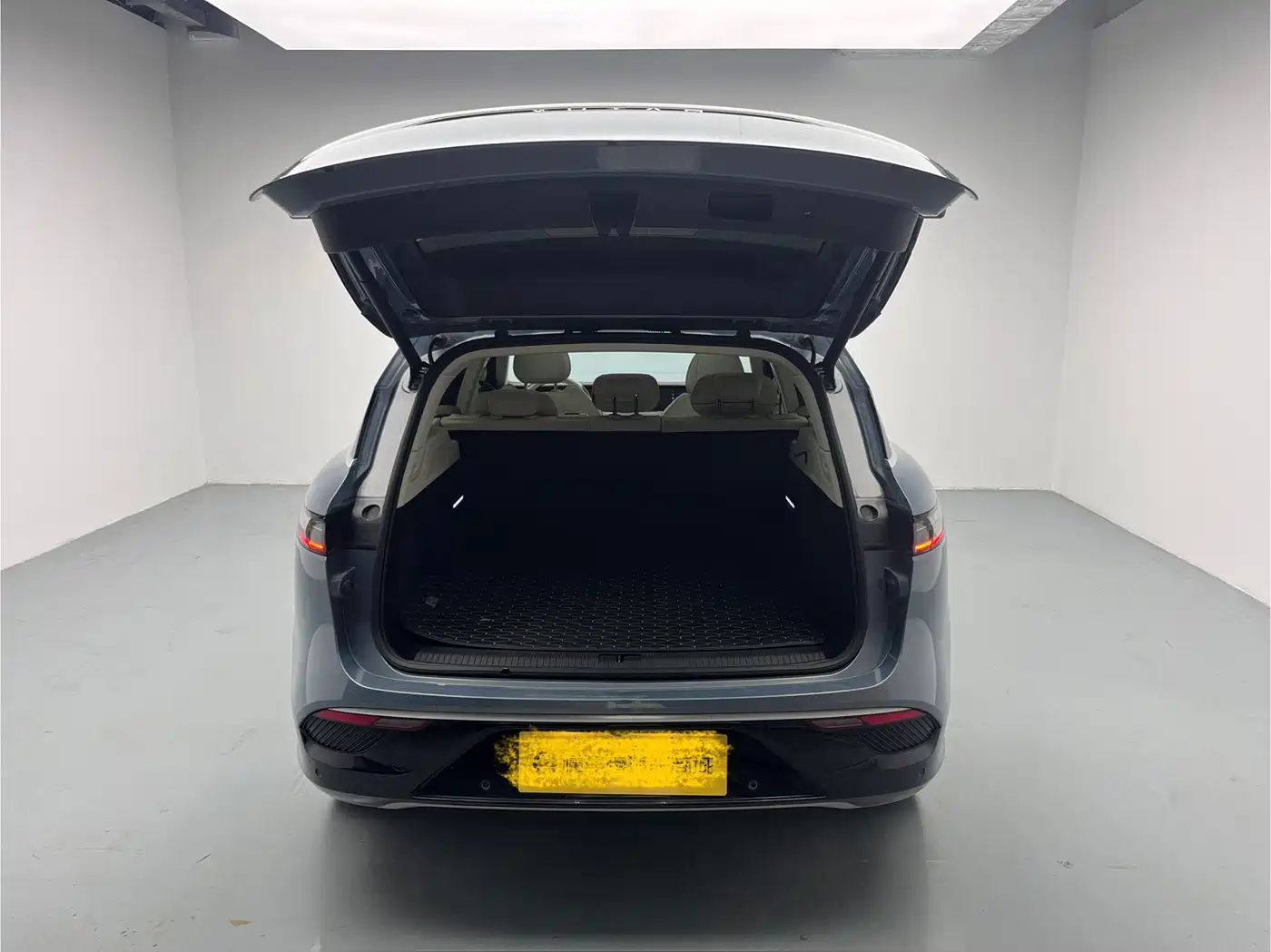 Voyah Auto VOYAH FREE 2021 AWD Standard Range Extender Exclusive Luxury Package фото 10
