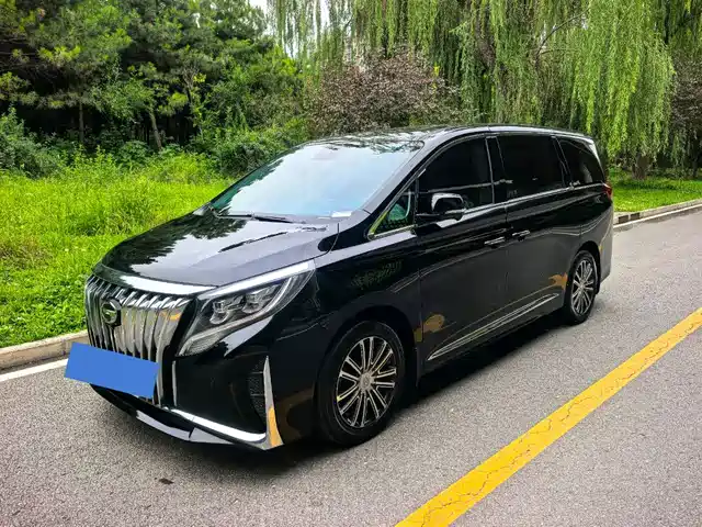 Trumpchi M8 Elegance Series, 390T, Максимум