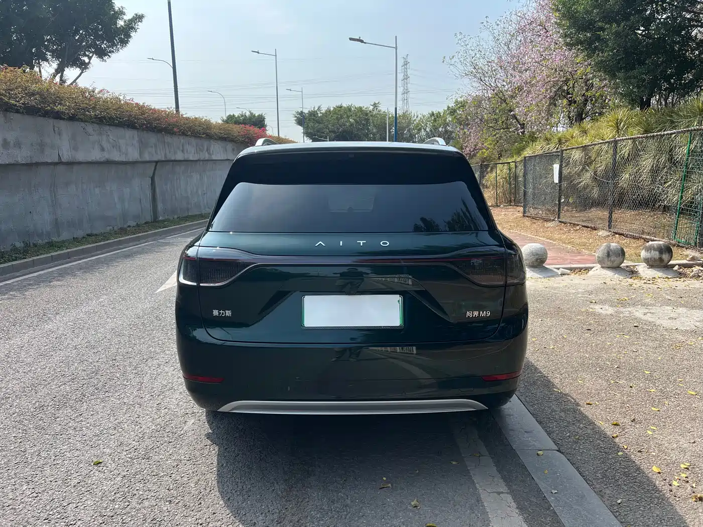 AITO Wenjie AITO M9 2024 Extended Range Ultra 42kWh 6-Seater фото 5