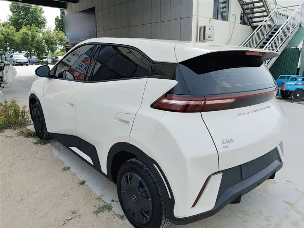 BYD Seagull 2024 Glory Edition 305km Vitality Edition фото 5