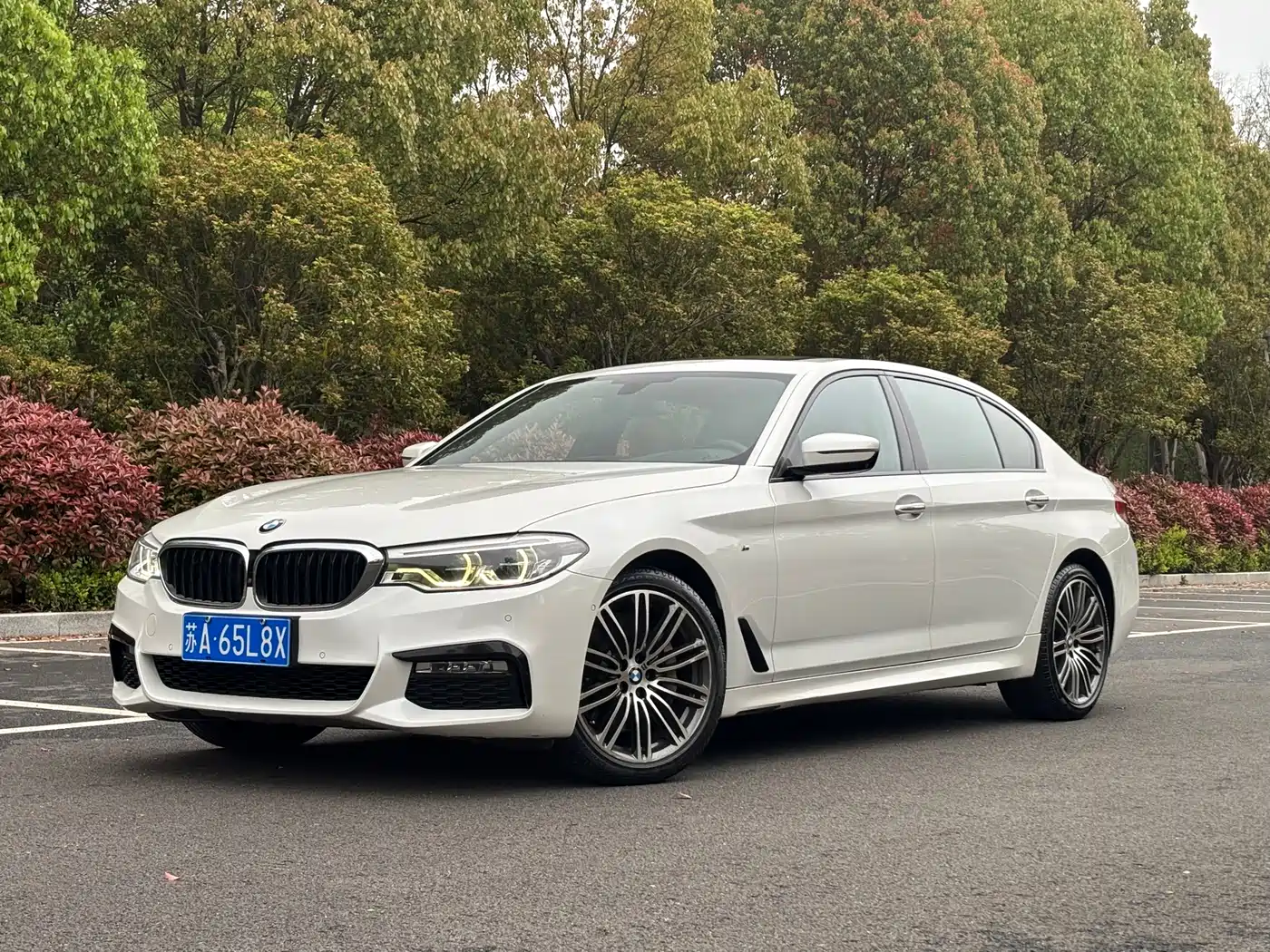 BMW 5 Series 2018 Facelift 530Li Exclusive M Sport Package фото 6
