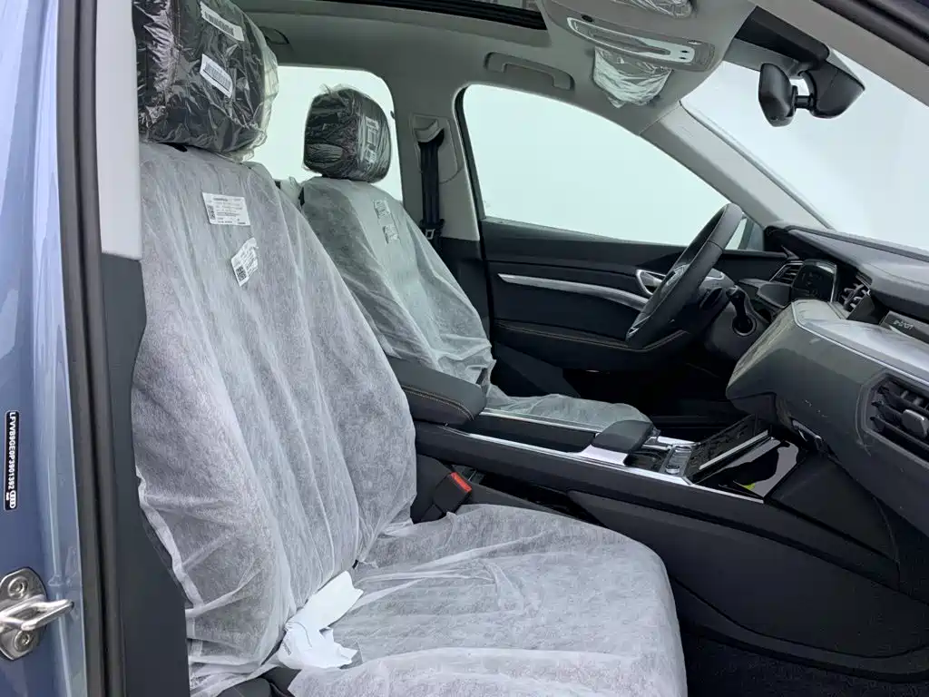 Audi e-tron 2026 2021 50 quattro Luxury