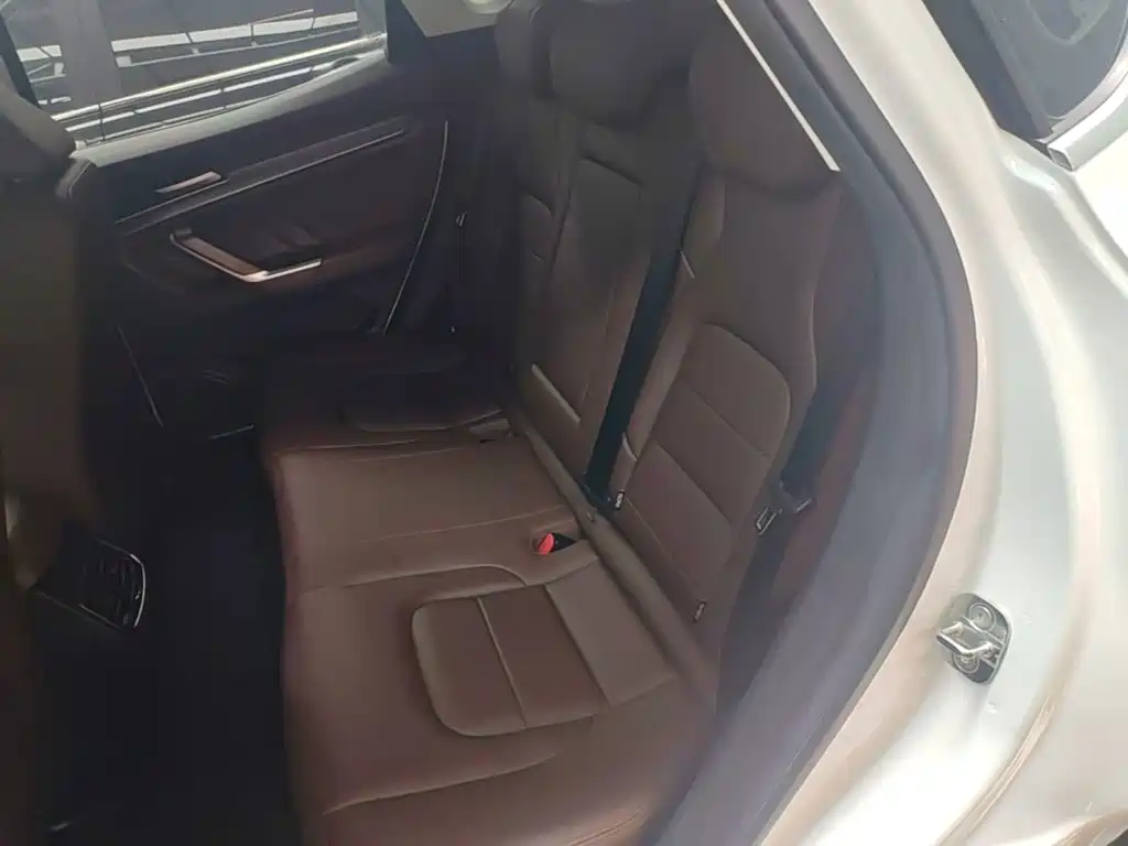 Haval H4 2019 2019 1.5GDIT DCT Luxury Smart Connection China VI