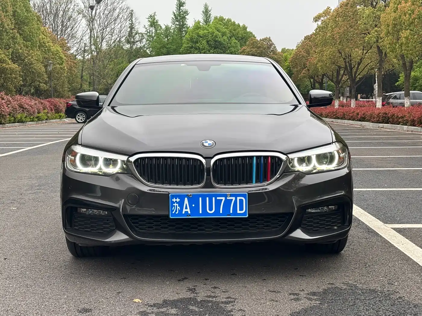BMW 5 Series 2019 530Li Leading M Sport Package фото 2