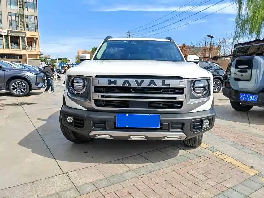HAVAL BIG DOG