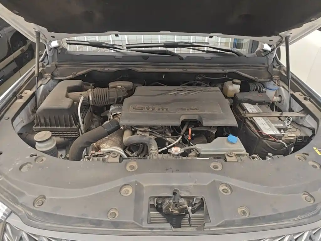 Great Wall Pao 2025 2024 Model 2.4T Commercial Version Automatic Diesel 4WD Elite Type