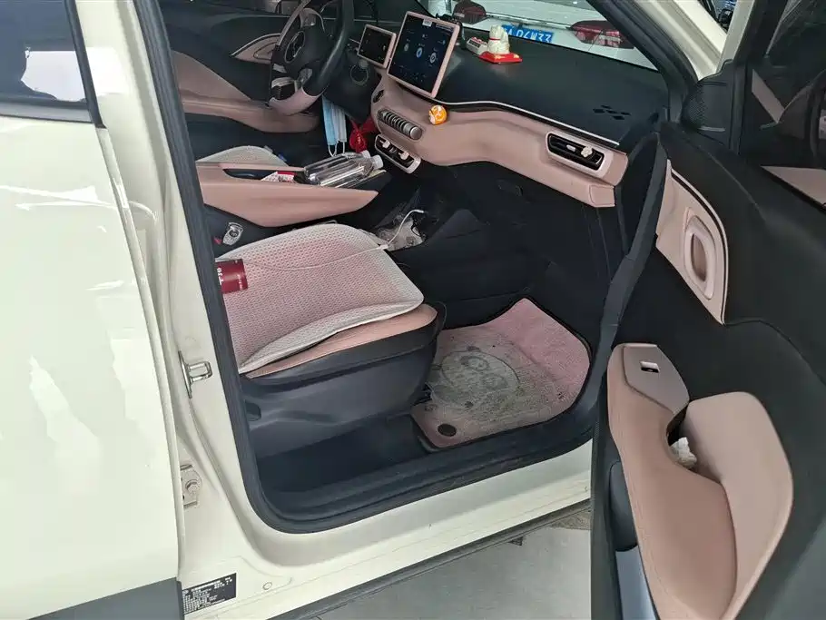 BYD Seagull 2023 Freedom Edition фото 8