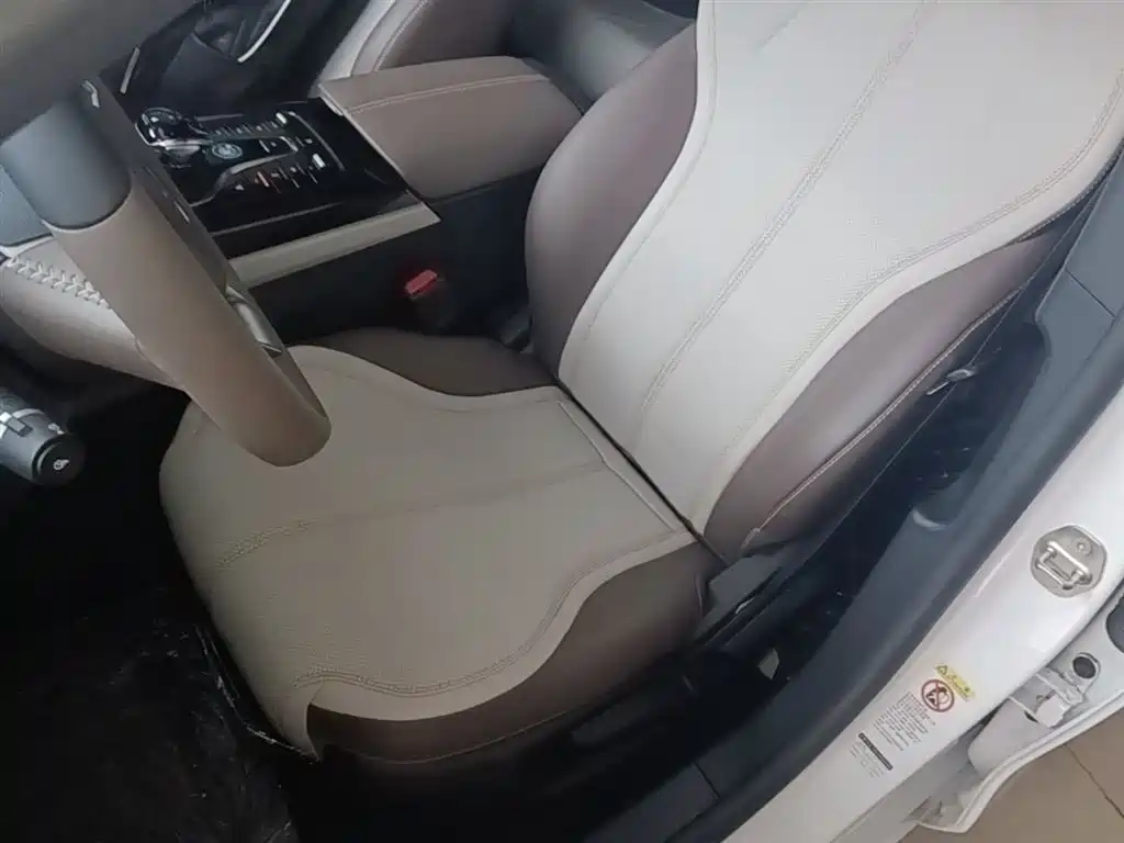 BYD Qin PLUS 2024 Glory Edition DM-i 55KM Leading фото 15