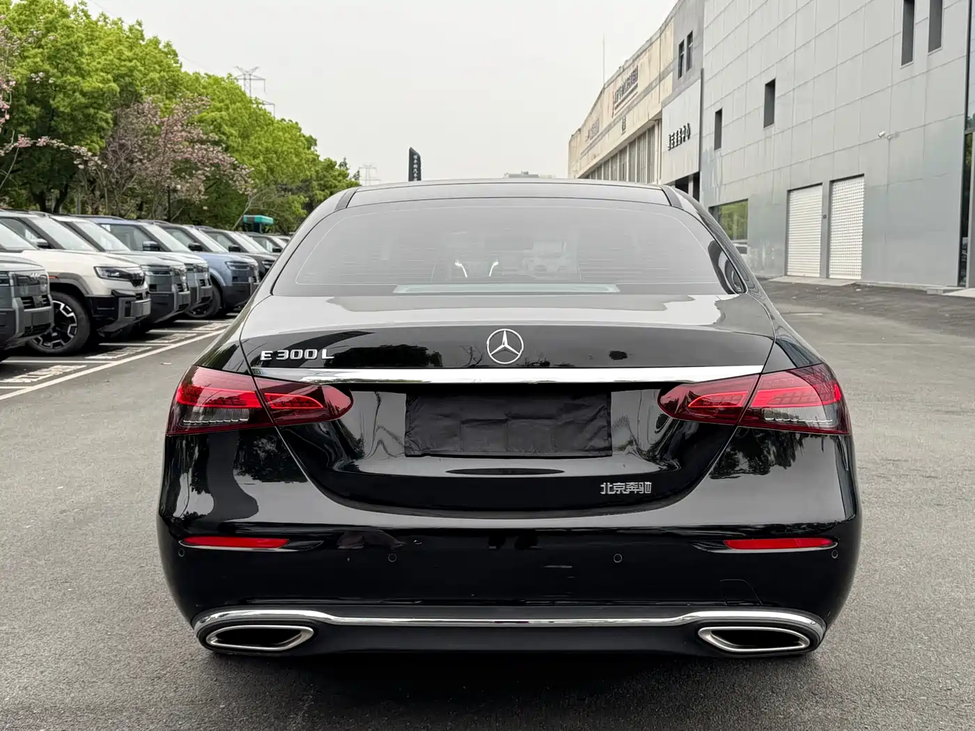 Mercedes-Benz E-Class 2023 E 300 L Luxury фото 21