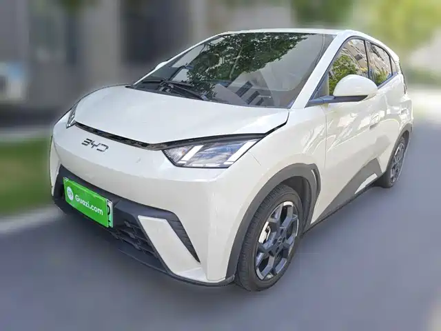  BYD Seagull 2025 405km Soaring