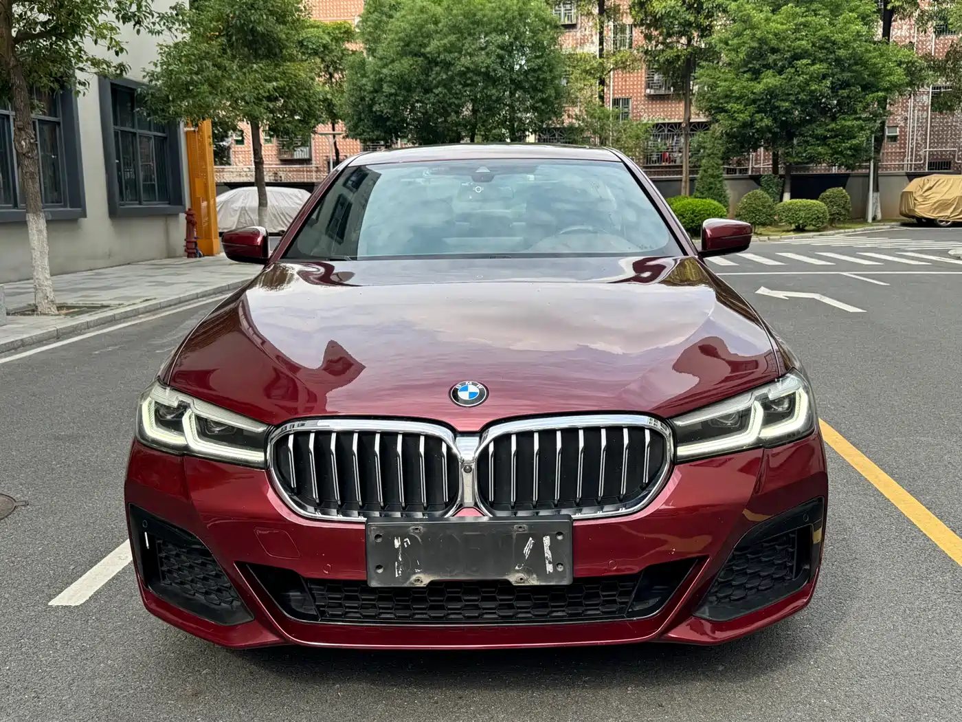 BMW 5 Series 2021 530Li Premium M Sport Package фото 2