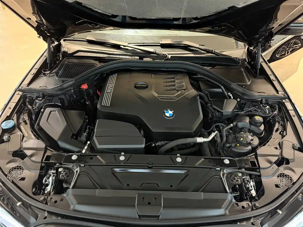 BMW 3 Series 2020 325Li M Sport Package фото 12