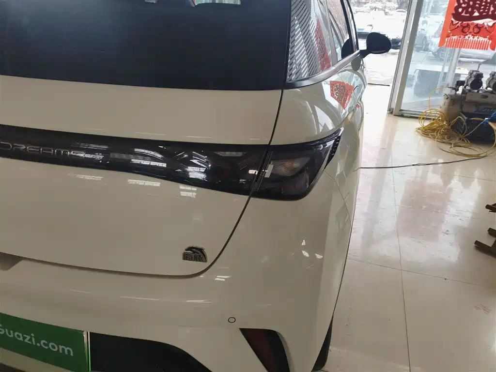 BYD Dolphin 2021 Model 405km Fashion Edition фото 8