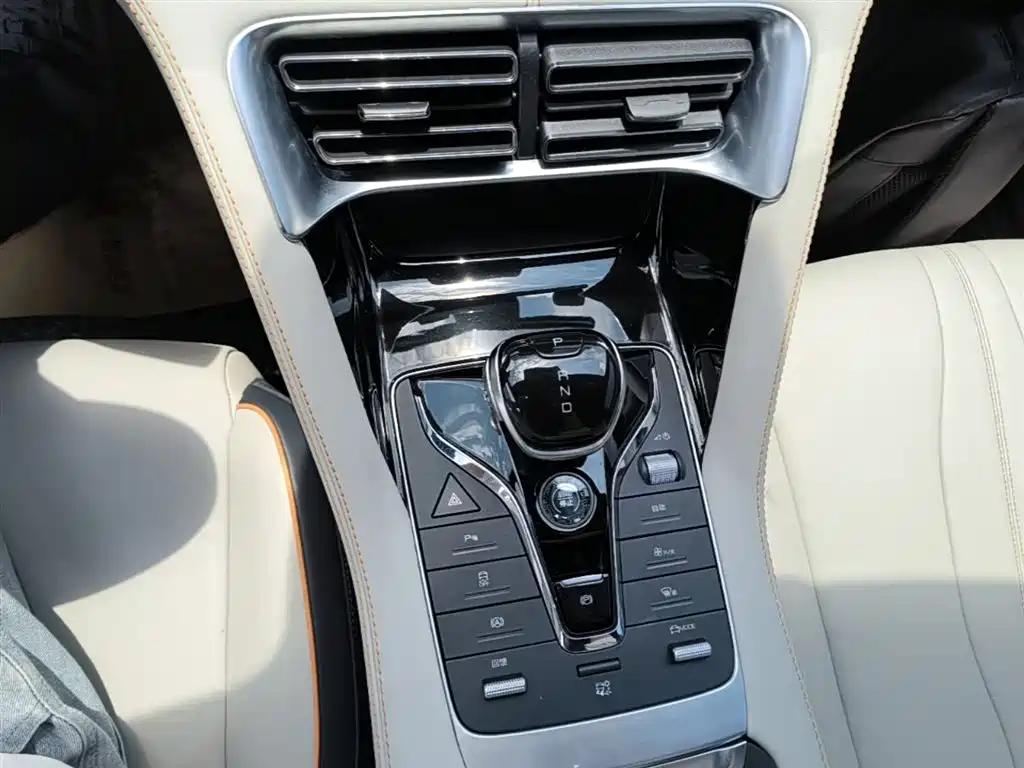 BYD Song PLUS PHEV 2021 EV Premium Model фото 10