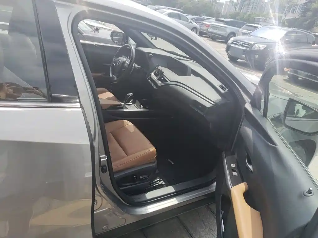 Lexus UX Electric 2021 2020 300e Pure Yue Edition