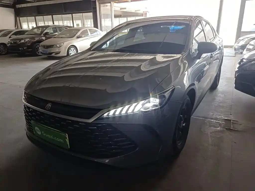 BYD Qin PLUS 2025 DM-i Smart Drive 55KM Leader фото 2