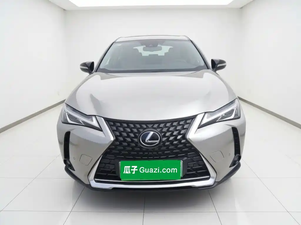 Lexus UX Electric 2021 2020 300e Pure Yue Edition