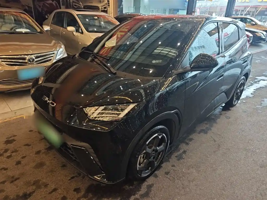 BYD Seagull 2023 Freedom Edition