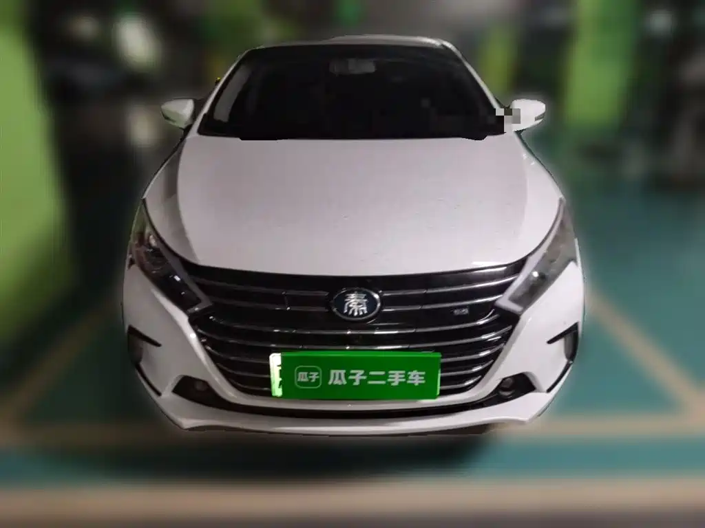BYD Qin New Energy 2018 Qin EV450 Smart Connected Premium Edition фото 24