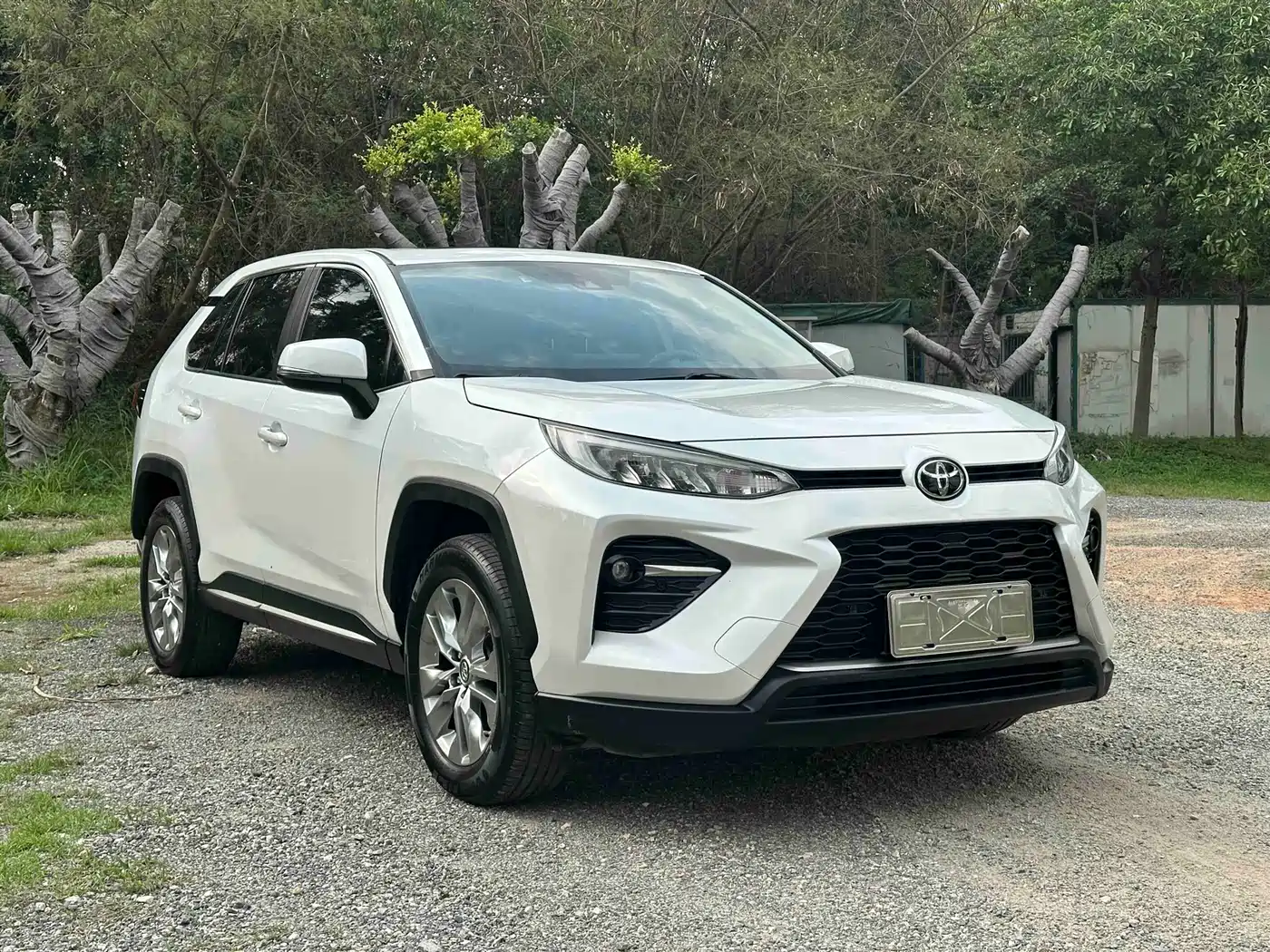 Toyota Wildlander 2021 2.0L CVT 2WD Luxury Edition фото 3