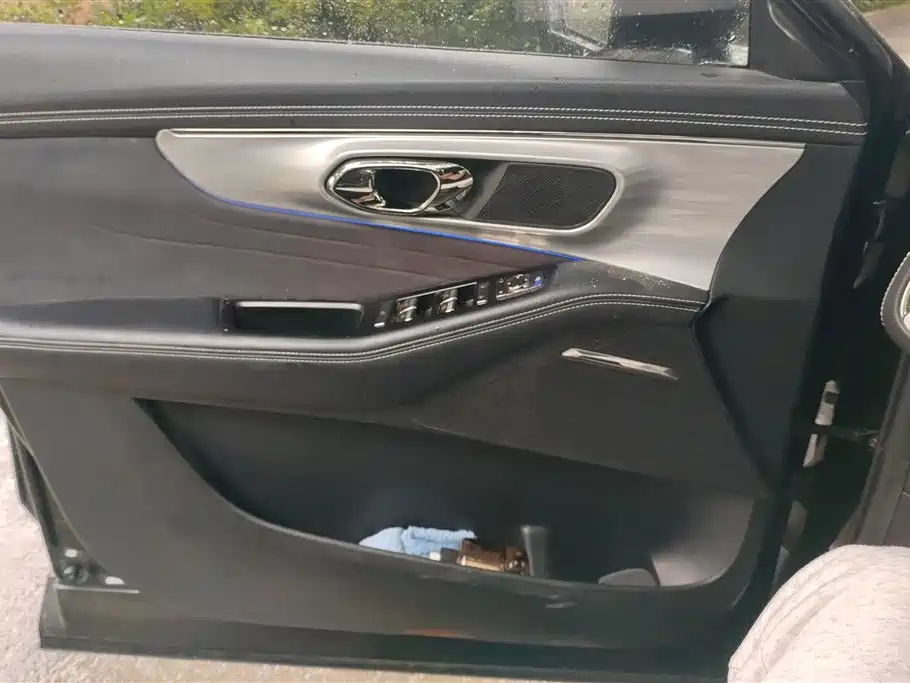 GAC Trumpchi Trumpchi GS8 2022 Dual Engine Series 2.0TM 2WD Premium Edition (6-Seater) фото 7
