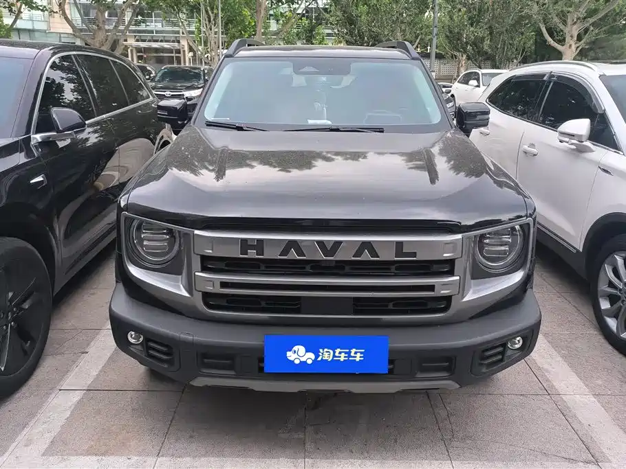 Haval Big Dog 2024 1.5T DCT Border Collie Edition фото 2